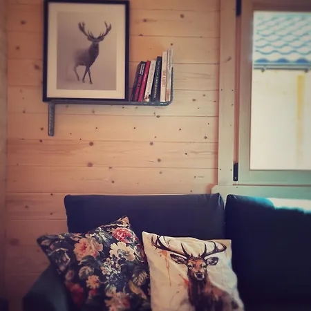 Stary Lodge